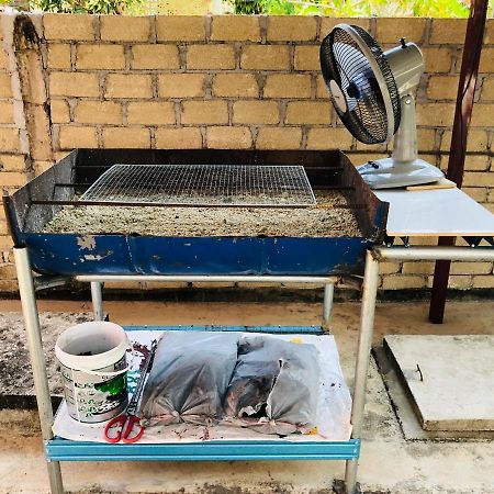 Homestay Tok Abah Dalam Rhu Пасир Путе Екстериор снимка