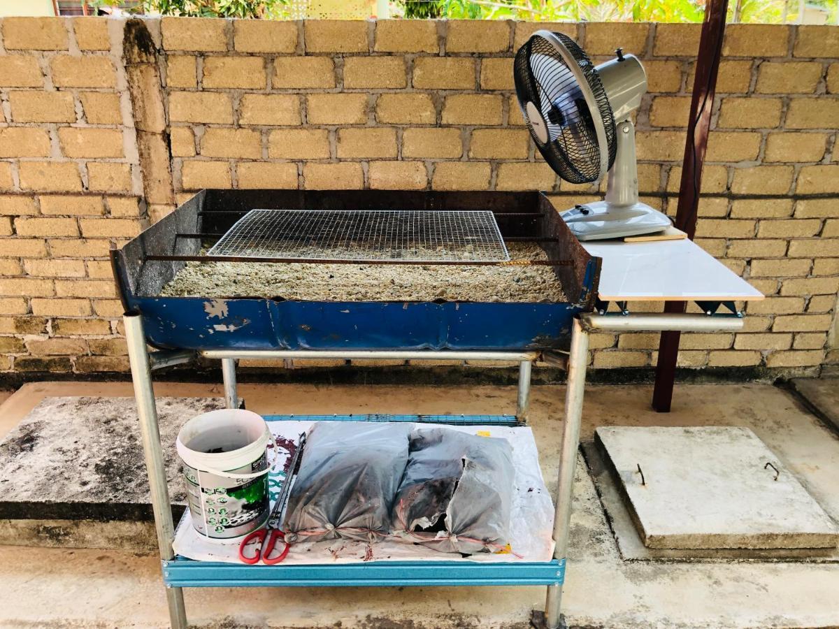 Homestay Tok Abah Dalam Rhu Пасир Путе Екстериор снимка